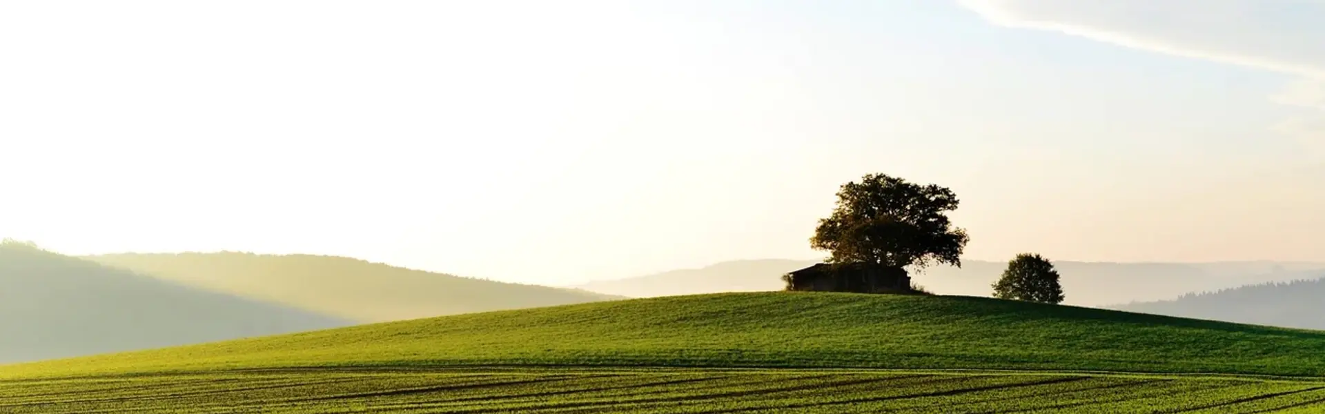 Schöne Landschaft