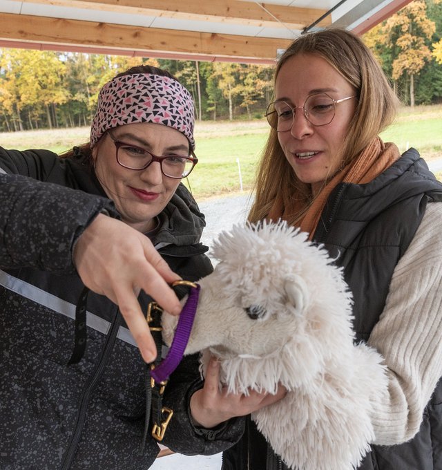 Tiertherapie